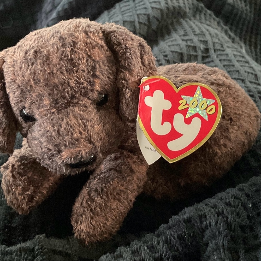 Ty Beanie Baby 2000 Fetcher, new with tags
